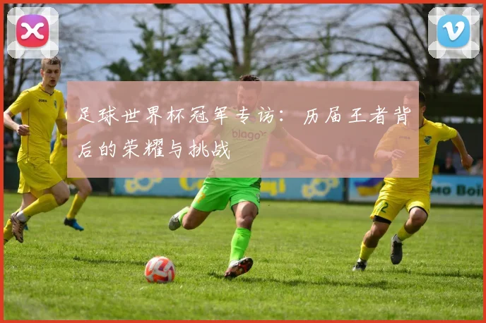 足球世界杯冠军专访：历届王者背后的荣耀与挑战