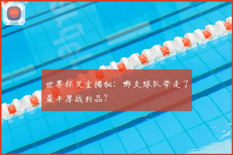 世界杯奖金揭秘:哪支球队带走了最丰厚战利品?