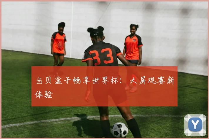 当贝盒子畅享世界杯：大屏观赛新体验