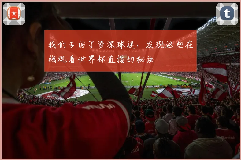 我们专访了资深球迷，发现这些在线观看世界杯直播的秘诀