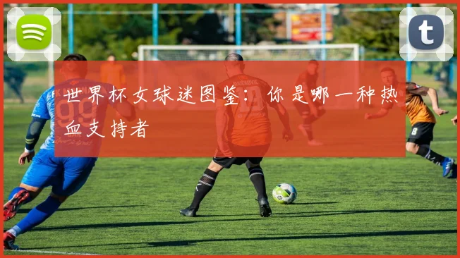 世界杯女球迷图鉴：你是哪一种热血支持者