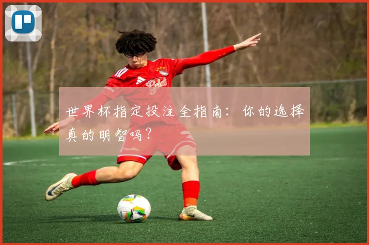 世界杯指定投注全指南：你的选择真的明智吗？