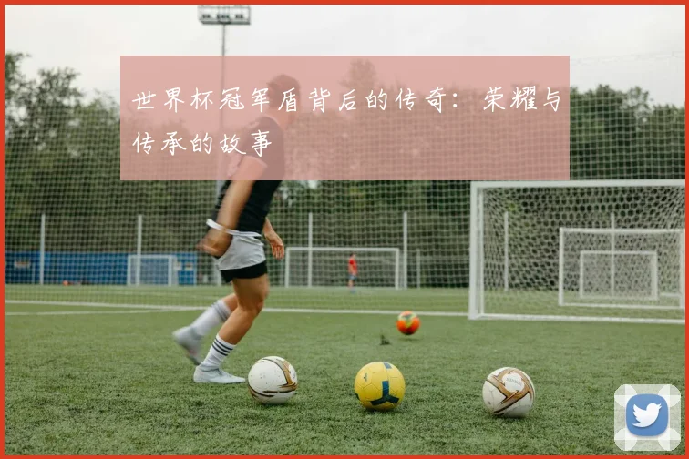 世界杯冠军盾背后的传奇：荣耀与传承的故事