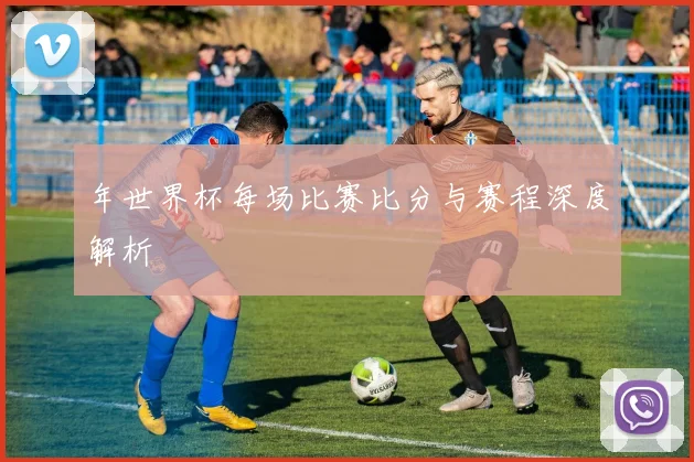 年世界杯每场比赛比分与赛程深度解析