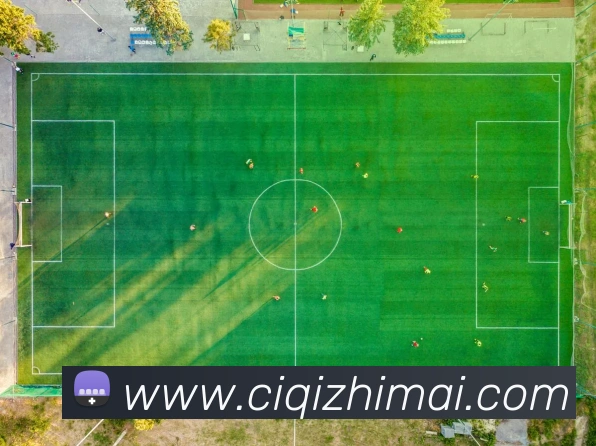 爱游戏app网页版在线登录APP 高清赛事图